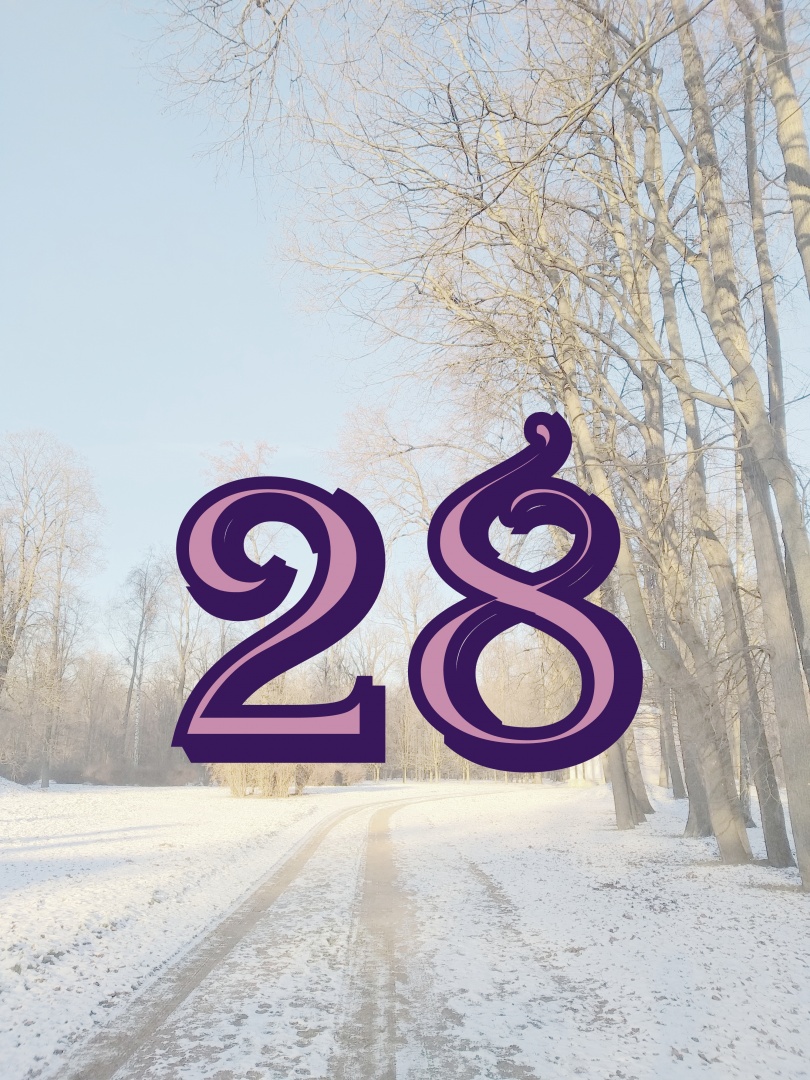 28 декабря